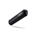 Exhaust GPR BMW F 650 Cs Scarver 2001 - 2006 Ghisa 