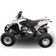 Moto exhaust GPR Access ACCESS Baja 450   DEEPTONE ATV