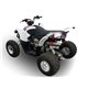 Moto Auspuff GPR Access ACCESS Baja 450   DEEPTONE ATV
