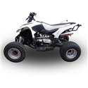 Moto exhaust GPR Access ACCESS SP250 / SP300 SPEED  DEEPTONE ATV