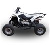 Moto exhaust GPR Access ACCESS BAJA 300  DEEPTONE ATV