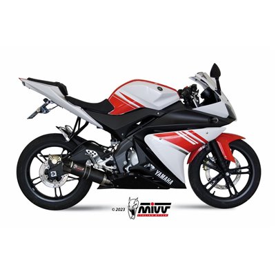 Moto exhaust MIVV GP-C CARBON with carbon cap YAMAHA YZF R125 2008  -  2013