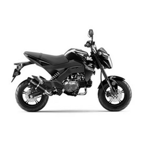 Exhaust LeoVince KAWASAKI Z 125 PRO MINI NAKED 2017 - 2024 GP CORSA EVO