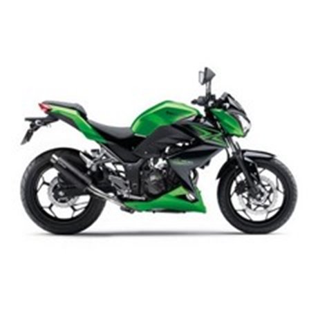 Auspuff LeoVince KAWASAKI Z 300/ABS 2015 - 2016 GP CORSA MATTE