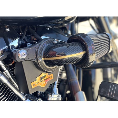 Zard 120TH L.E._ CARBON AIR FILTER AND ALU BILLET  HARLEY DAVIDSON TOURING M8 21 - 23