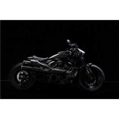 Zard CARBON HEADLIGHT FAIRING KIT HARLEY DAVIDSON SPORTSTER S 1250 21 - 23