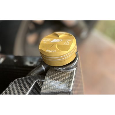 Zard 120TH L.E._ ALU BILLET REAR SUSPENSION KNOB AND RADIATOR PLUG COVER HARLEY DAVIDSON SPORTSTER S 1250 21 - 23
