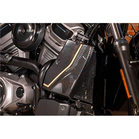 Zard 120TH L.E._CARBON COVER RADIATOR + ALU PLUG COVER HARLEY DAVIDSON NIGHTSTER 975 23