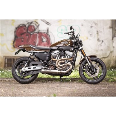 Zard TITANIUM RACING FULL KIT WITH CARBON SLEEVE HARLEY DAVIDSON XR 1200 09 - 12
