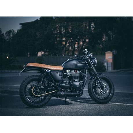 Zard BLACK SS RACING SLIP-ONS TRIUMPH STREET TWIN 900 16 - 20