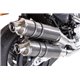 Moto Auspuff GPR Harley Davidson XR 1200    POPPY TONDO