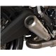 Moto exhaust HP-Corse GP07 SATIN DUCATI 797 MONSTER 797   